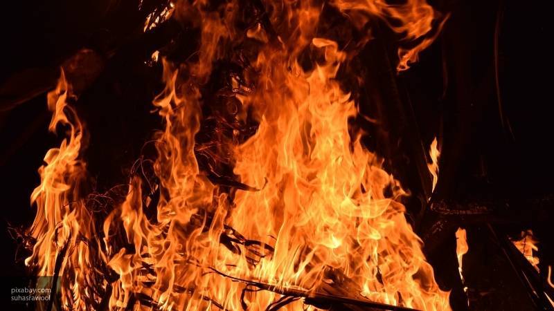 Мария Федорова - Трое детей погибли в результате пожара в частном доме в Новосибирской области - nation-news.ru - Новосибирская обл.