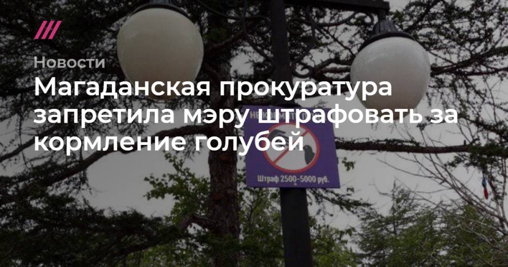 Юрий Гришан - Магаданская прокуратура запретила мэру штрафовать за кормление голубей - tvrain.ru - Магадан