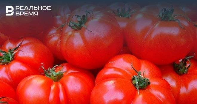 Ученый КФУ рассказал об опасности нитратов - realnoevremya.ru - Россия - Татарстан