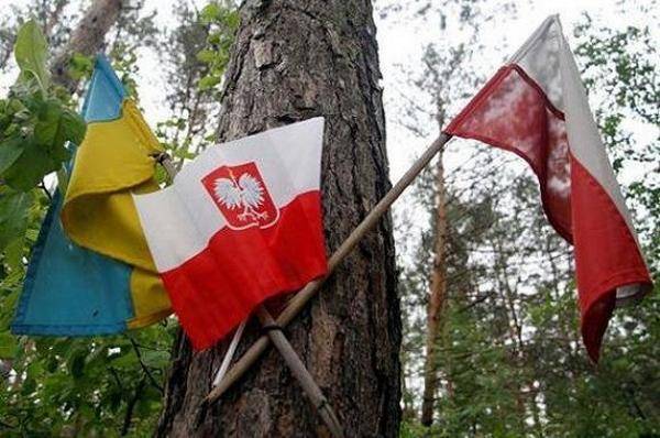 Українсько-польського конфлікту немає - argumentua.com - Польща