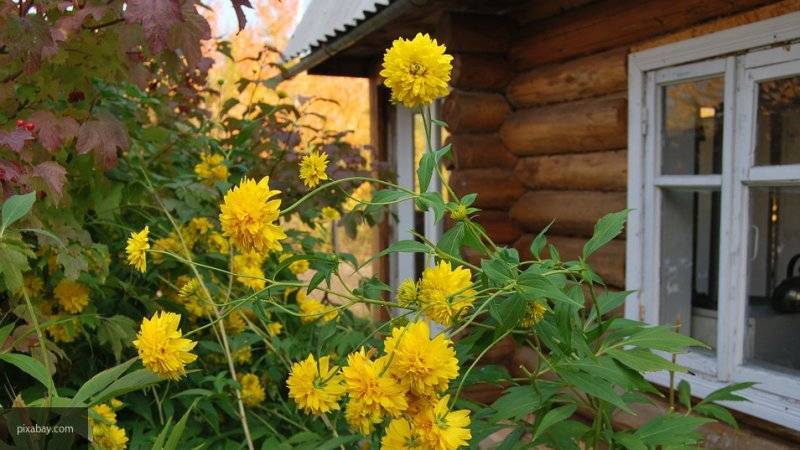 Андрей Кутепов - Мария Белякова - Дороги дачникам построят за счет бюджета - nation-news.ru - Россия