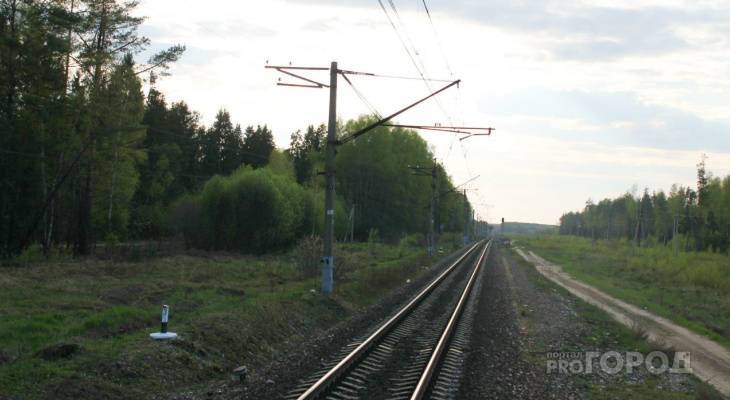 РЖД возместит 80 тысяч рублей за сбитого в Чувашии лося - pg21.ru - Россия - респ. Чувашия