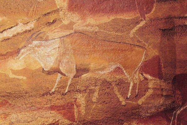 В Южной Африке обнаружены 8 000-летние петроглифы - glavtema.ru - Юар
