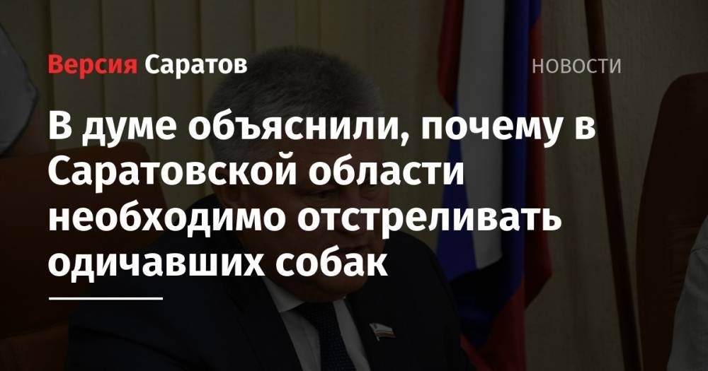 В думе объяснили, почему в Саратовской области необходимо отстреливать одичавших собак - nversia.ru - Россия - Саратовская обл. - Саратов