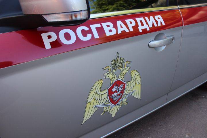 В Воронеже инспектора Росгвардии уволили после проверки оружейного магазина мужа - Новости Воронежа - moe-online.ru - Россия - Воронеж - Воронежская обл.