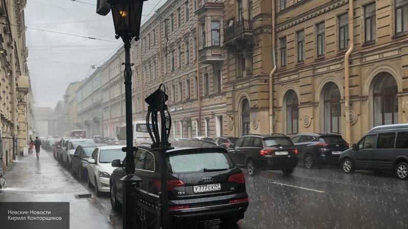 Мария Белякова - Петербуржцев ожидает облачная погода до начала следующей недели - nation-news.ru - Санкт-Петербург