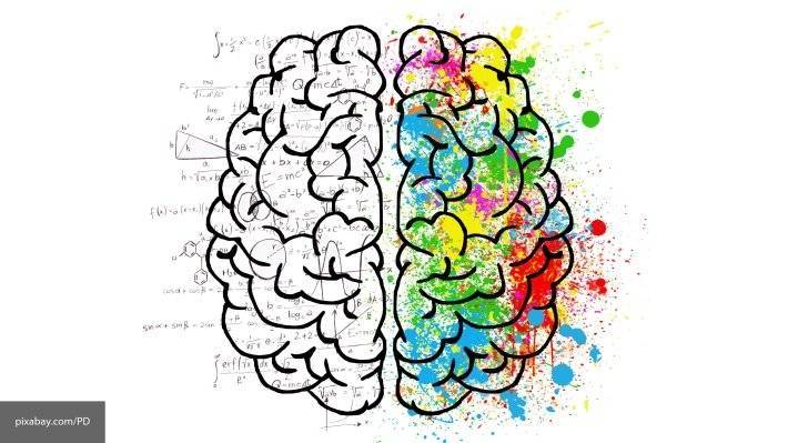Ученые получили самое точно изображение человеческого мозга - newinform.com - Бостон - Будущее