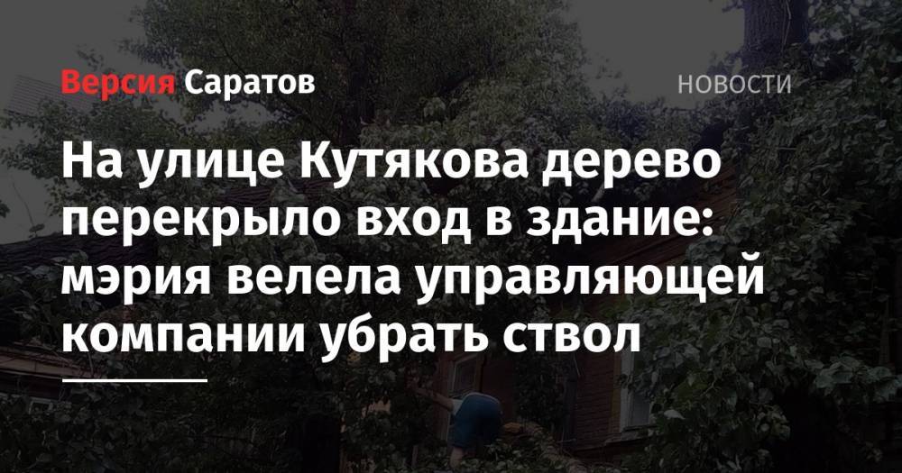 На улице Кутякова дерево перекрыло вход в здание: мэрия велела управляющей компании убрать ствол - nversia.ru - Саратов