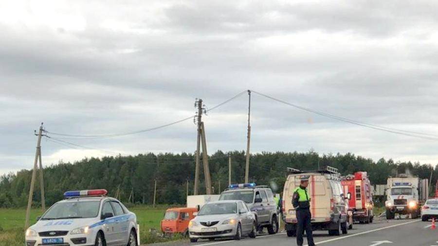 Девочка погибла в ДТП с участием грузовика в Ленобласти - iz.ru - Ленинградская обл. - Белгородская обл. - район Лодейнопольский
