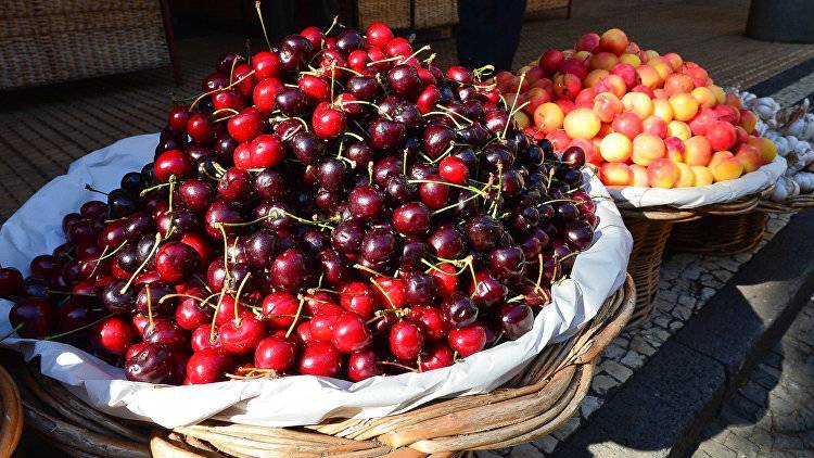 Свое вкуснее: украинцы чемоданами везут в Крым черешню, абрикосы и помидоры - crimea.ria.ru - Крым - Симферополь - Севастополь