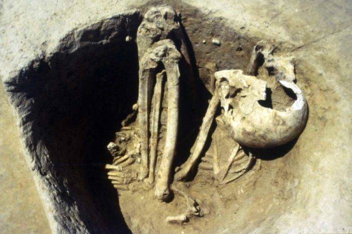 Обнаруженные 40 лет назад в Греции останки человека оказались древнейшими в Европе | PolitNews - politnews.net - Англия - Германия - Греция - Индонезия