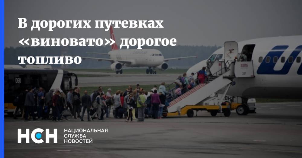 Виталий Милонов - В дорогих путевках «виновато» дорогое топливо - nsn.fm - Россия