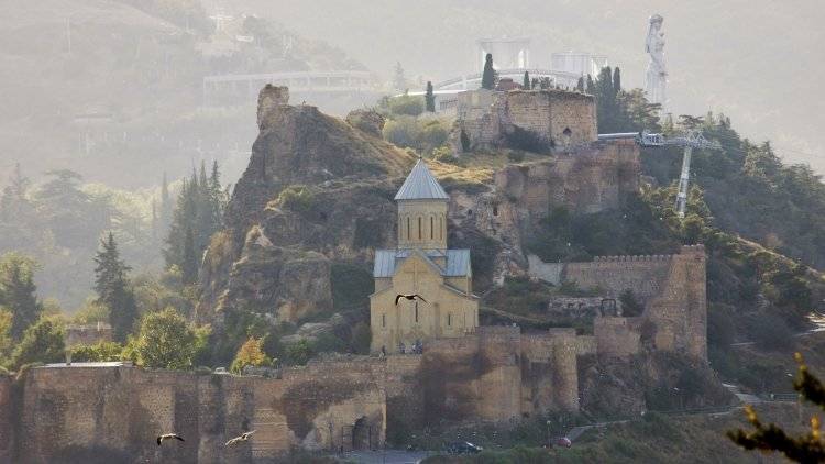 Натия Турнава - Грузия потеряла бы 1,5 миллиарда долларов, в случае введения Россией эмбарго - polit.info - Москва - Россия - Грузия - Турция - Тбилиси