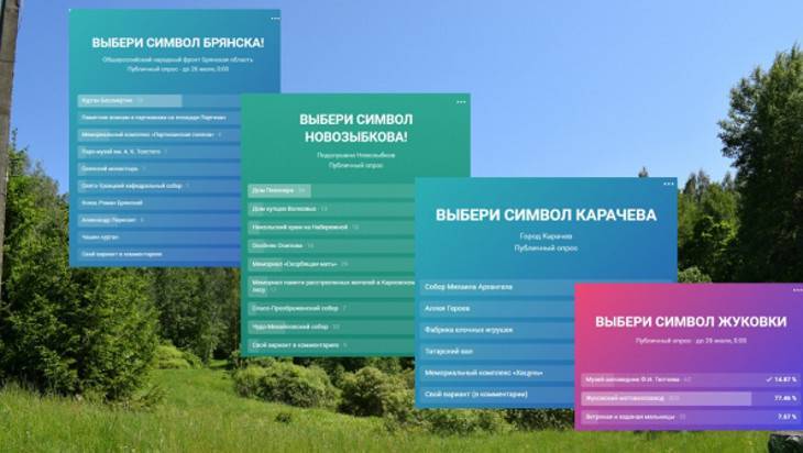 Жителям брянских городов предложили выбрать их символы - bragazeta.ru - Россия - Брянск - Брянская обл.