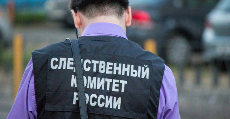 Светлана Петренко - СК РФ возбудил уголовное дело после гибели женщины при обстреле Горловки ВСУ | Новороссия - novorosinform.org - Россия - Украина - ДНР - Горловка