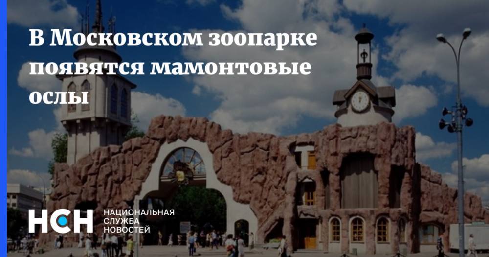 В Московском зоопарке появятся мамонтовые ослы - nsn.fm - Москва - Россия - Индонезия
