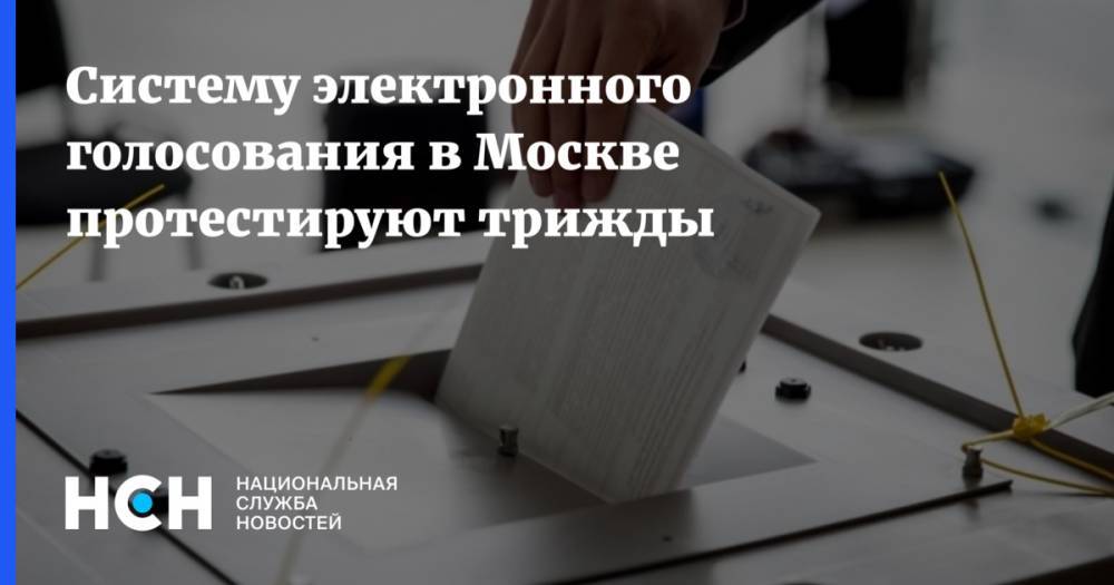 Артем Костырко - Систему электронного голосования в Москве протестируют трижды - nsn.fm - Москва