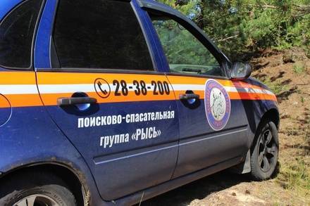 Почти месяц ведутся поиски пропавшего на Бору мужчины - vgoroden.ru