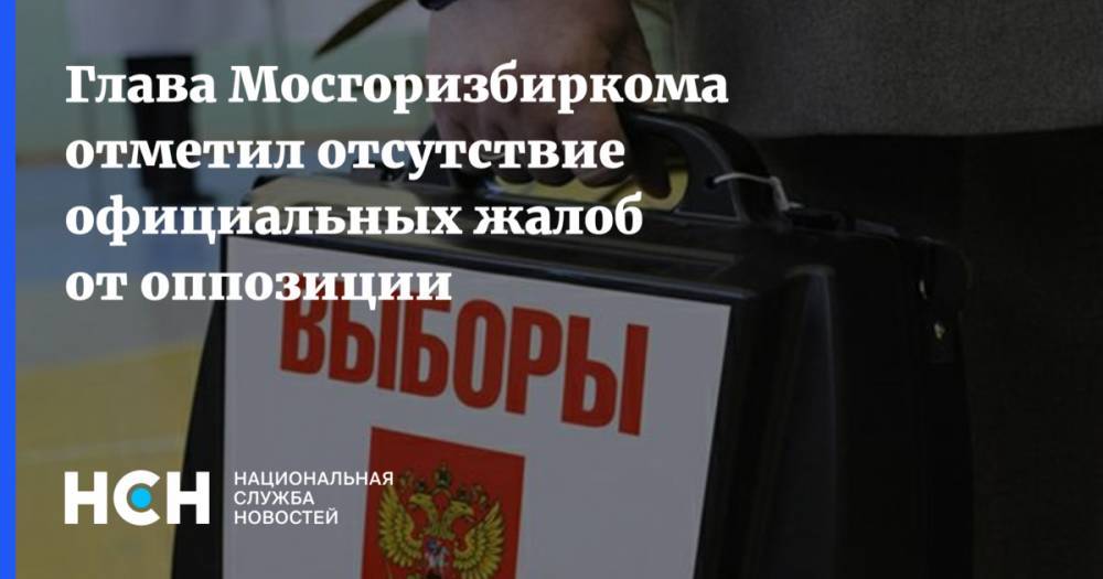 Валентин Горбунов - Глава Мосгоризбиркома отметил отсутствие официальных жалоб от оппозиции - nsn.fm - Москва