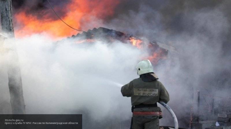 Олесь Каштанов - Заброшенный ликеро-водочный завод загорелся в Калининграде - nation-news.ru - Москва - Россия - Калининград - Калининградская обл.