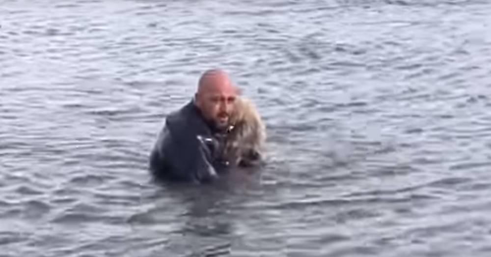 Турецкий полицейский спас чуть не утонувшего щенка - factsinter.com - Турция