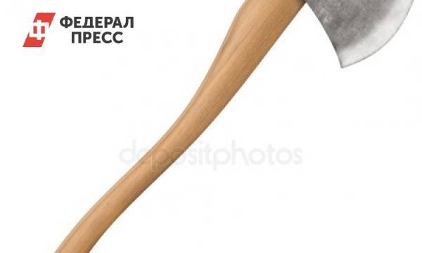 Каша из-за топора: тюменского подростка осудили за хулиганство | Тюменская область | ФедералПресс - fedpress.ru - Тюмень