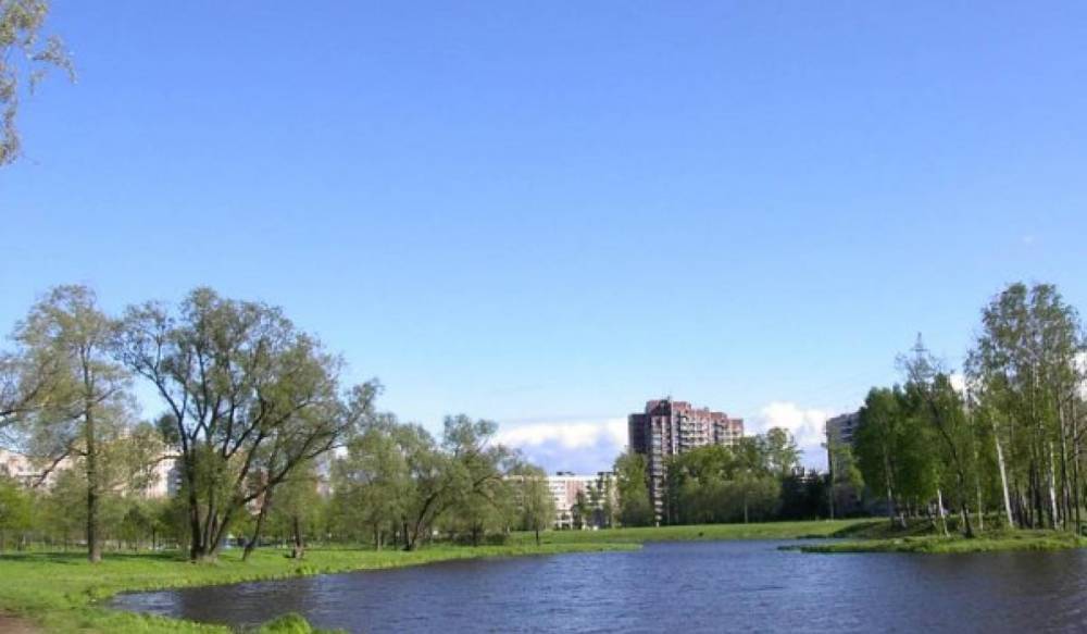 Александр Беглов - На месте вырубленных деревьев в Муринском парке появится новая прогулочная зона - gorod-plus.tv - Санкт-Петербург - район Калининский