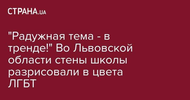 "Радужная тема - в тренде!" Во Львовской области стены школы разрисовали в цвета ЛГБТ - strana.ua - Львов - Львовская обл.