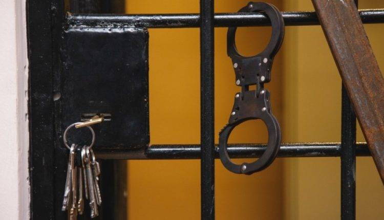 Ирина Волк - В Москве поймали банду «стильных» грабителей - newtvnews.ru - Москва - Россия