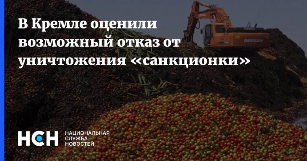 Дмитрий Песков - Алексей Гордеев - В Кремле оценили возможный отказ от уничтожения «санкционки» - nsn.fm - Норвегия - Россия - США - Австралия - Канада