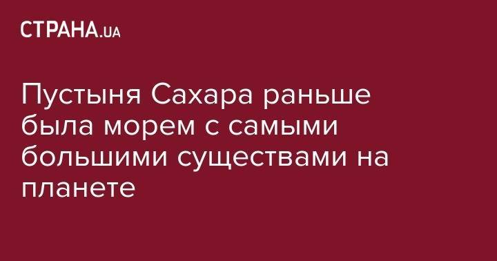 Наоми Кэмпбелл - Пустыня Сахара раньше была морем с самыми большими существами на планете - strana.ua - Мали - Пуэрто-Рико