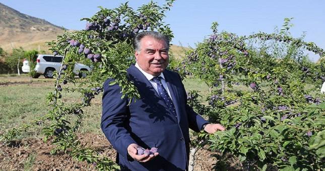 Эмомали Рахмон - Лидер нации Эмомали Рахмон посетил сад «Чашмаи нукра» Дангаринского района - dialog.tj - Таджикистан - район Дангаринский
