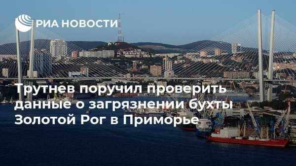 Юрий Трутнев - Трутнев поручил проверить данные о загрязнении бухты Золотой Рог в Приморье - vestirossii.com - Москва - Россия - Приморье край - Владивосток