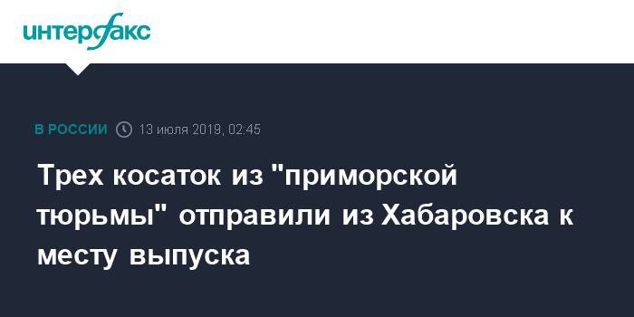 Дмитрий Лисицын - Трех косаток из "приморской тюрьмы" отправили из Хабаровска к месту выпуска - interfax.ru - Москва - Россия - Приморье край - Хабаровск - Находка - Хабаровский