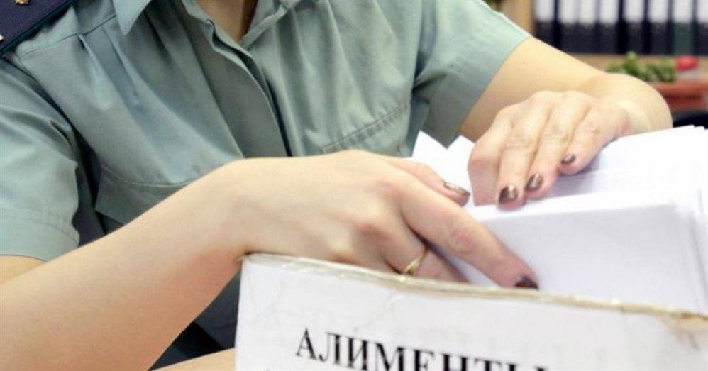 Ульяновский неплательщик алиментов проведёт в колонии 6 месяцев - ulpravda.ru - Ульяновск