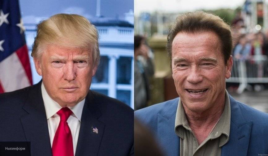 Дональд Трамп - Арнольд Шварценеггер - Трамп - Шварценеггер отреагировал на заявление Трампа о его «смерти» - newinform.com - США - шт. Калифорния