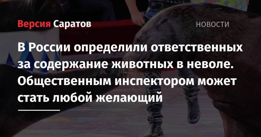 Владимир Путин - Дмитрий Медведев - Аскольд Запашный - В России определили ответственных за содержание животных в неволе. Общественным инспектором может стать любой желающий - nversia.ru - Россия