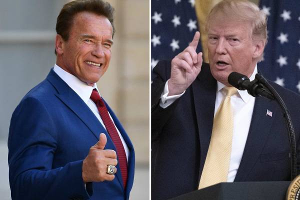 Дональд Трамп - Арнольд Шварценеггер - Трамп заявил, что был свидетелем смерти Арнольда Шварценеггера - trud.ru - США - шт. Калифорния