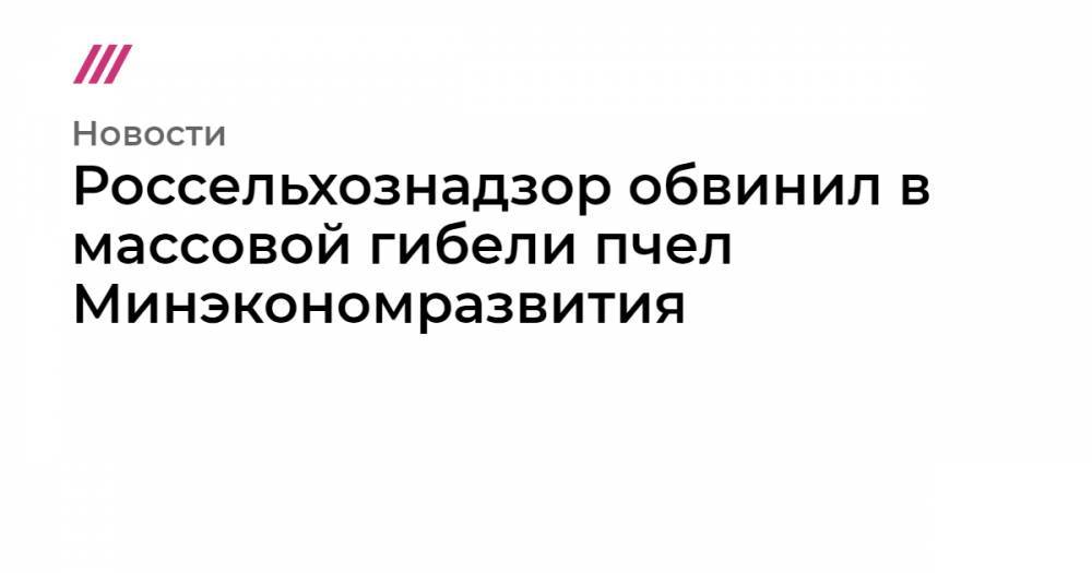 Россельхознадзор обвинил в массовой гибели пчел Минэкономразвития - tvrain.ru - Россия - Башкирия - Алтайский край - респ. Марий Эл - респ. Удмуртия - Тульская обл.