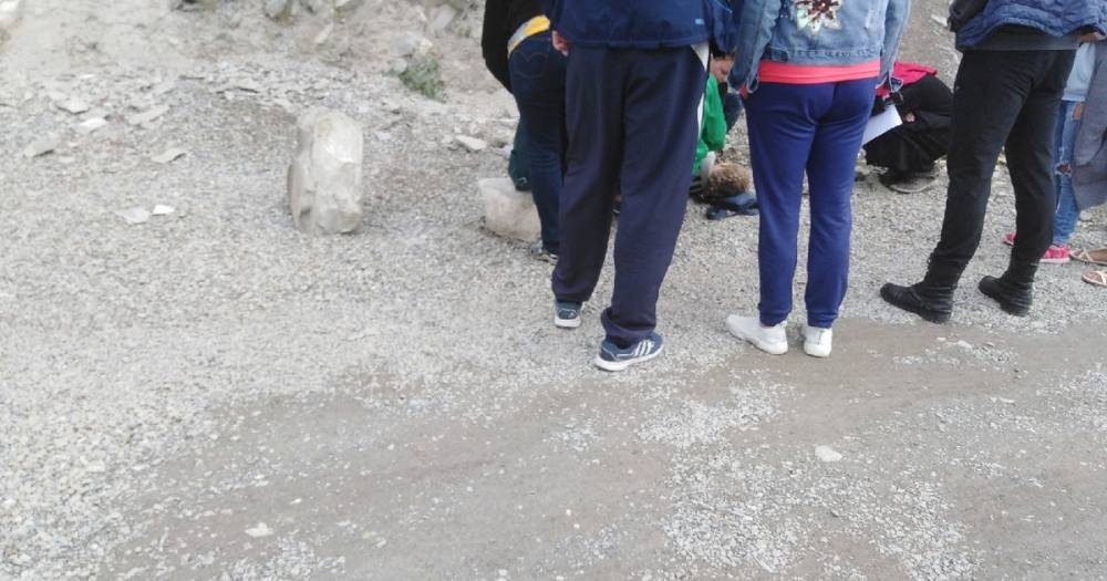 «Мама, я умираю!». В Геленджике в парке «Олимп» на маленькую девочку упали куски скалы - readovka.news - Геленджик
