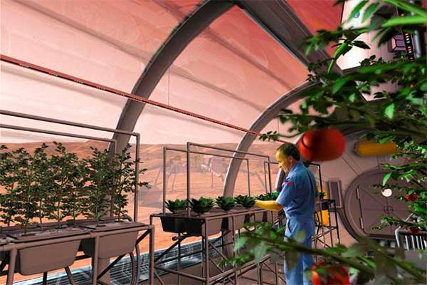 Ученые нашли способ выращивать растения в космосе - ecosever.ru - Норвегия - Голландия