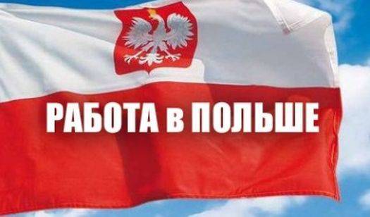Кількість українських робітників у Польщі зросла в 5 разів - newformat.info - Німеччина - Голландія - Норвегія - Чехія - Швеція