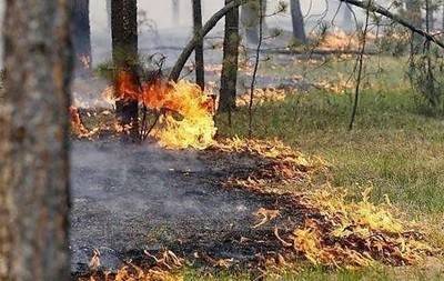 ГСЧС объявила чрезвычайный уровень пожароопасности - ru.slovoidilo.ua - Украина - Запорожская обл. - Николаевская обл. - Кировоградская обл. - Хмельницкая обл. - Винницкая обл. - Полтавская обл. - Ровненская обл.