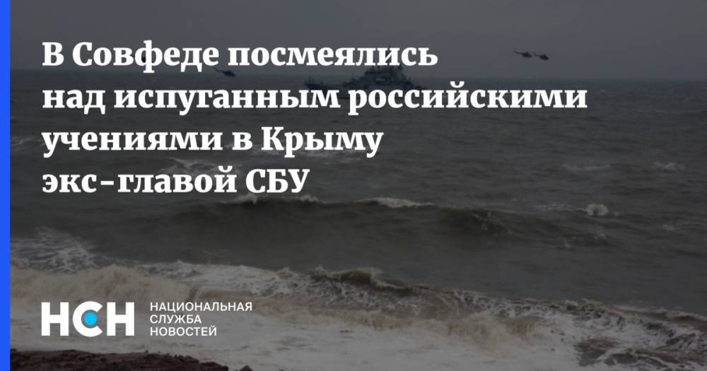 Сергей Цеков - Игорь Смешко - В Совфеде посмеялись над испуганным российскими учениями в Крыму экс-главой СБУ - nsn.fm - Украина - Крым