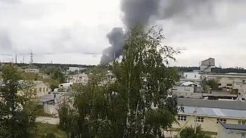Владимир Зеленский - Петр Порошенко - Михаил Саакашвили - Андрей Герус - Александр Данилюк - Закон о люстрации на Украине может коснуться команды самого Зеленского. - daylynews.ru - Украина - Одесская обл.