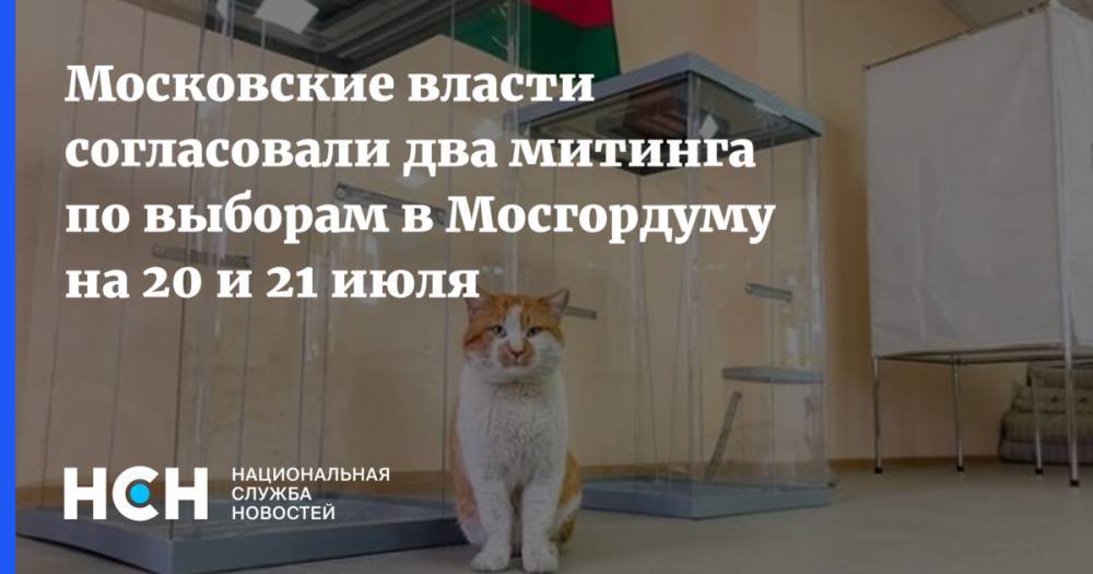 Василий Олейник - Московские власти согласовали два митинга по выборам в Мосгордуму на 20 и 21 июля - nsn.fm - Москва