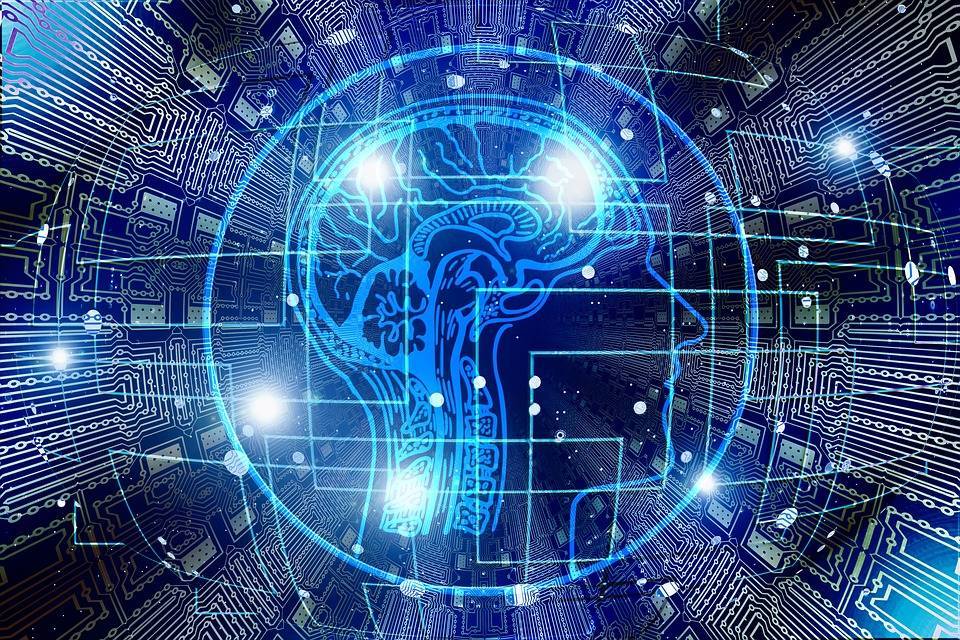 Человечество перестало умнеть - cursorinfo.co.il - Норвегия - Финляндия - Дания