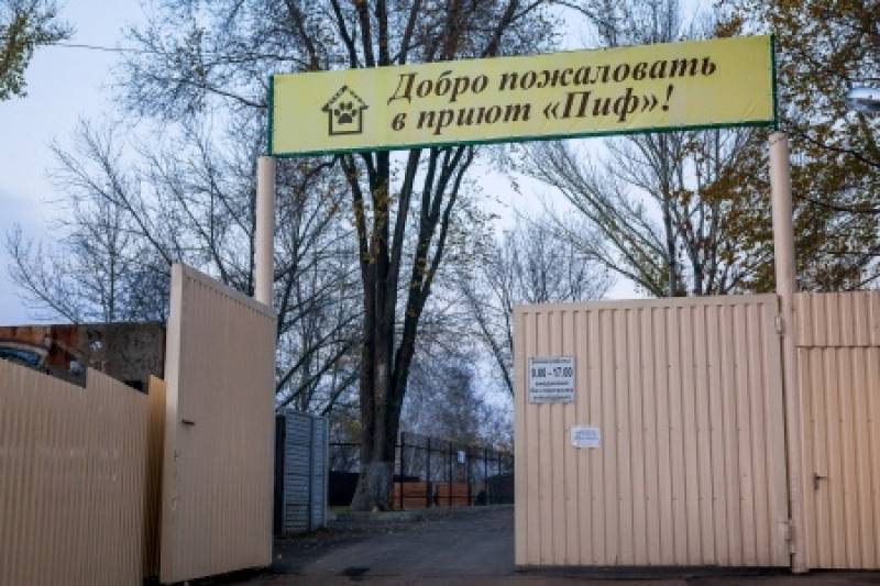 Очень нужны вакцины! «Политнавигатор» продолжает акцию в помощь донецкому приюту для животных - politnavigator.net - Донецк