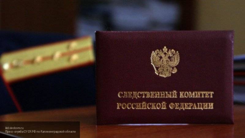 Ирина Волк - Андрей Петров - Опубликовано видео задержания подозреваемого в убийстве стюардессы в отеле - nation-news.ru - Москва - Россия