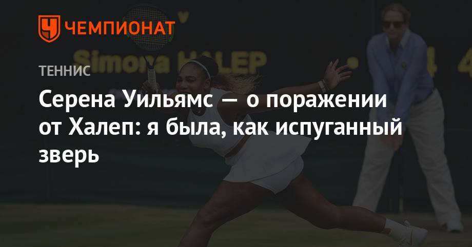 Серена Уильямс - Симон Халеп - Серена Уильямс — о поражении от Халеп: я была как испуганный зверь - championat.com - США - Лондон